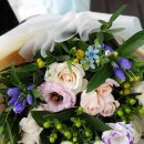 동산9세천 이미지