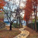 인동35길-10 이미지