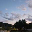 르까프스포츠 | 퇴근 후 초보 러너 5.16km 러닝 후기 (feat. 다이소 르까프 스포츠헤어밴드)