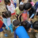 용인대 월드 태권도장 이미지