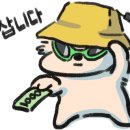 파파종합케어