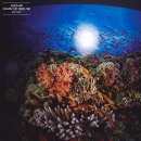 과거,현재,미래 | 내셔널지오그래픽 특별기획 OCEAN 가장 거대한 기록 Chapter 1 Change 리뷰 바다의 과거 현재 미래