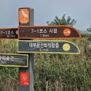 [안산 대부도 가볼만한곳] 대부광산퇴적암층 + 탄도항 대부해솔길 서해데이트