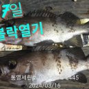 세린호 3월17일 외줄어초 대물볼락 왕열기 낼 월 예약가능 이미지