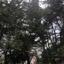 금곡역LPG충전소 이미지