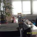 공덕면사무소 이미지