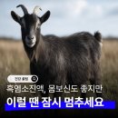 고려약선삼계탕 | 흑염소 진액, 여름철 "이럴 때"만큼은 피하는 게 좋습니다