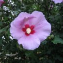 무궁화근린공원1 이미지