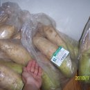 병주농장 이미지