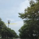 김밥여행 이미지