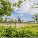 대자연약국 이미지