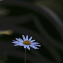 한별 건축사사무소 | 단풍이 불타는 공주 마곡사