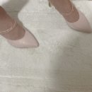 혜성꽃도매 | [D-123]클로드유 촬영후기(희주작가,탠디 뮬 웨딩슈즈,컨버스,이민후헤어변형,애정꽃,잘한점)