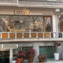 사파동211 이미지