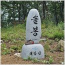 제989차 새싹산악회 정기산행 알려드립니다 이미지