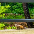 STX오토캠핑장 이미지