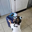 주식회사 제이에스토리 | 토리와 1박2일 영종도 가족여행, 1일차