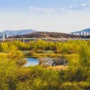 코스트코 대구혁신점 이미지