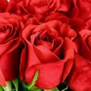 간헐적 단식, 잘못했다간 탈모에 대머리 된다 [달콤한 사이언스] 이미지