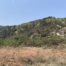 와룡리마을길 이미지