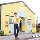 맥심다방 뉴스1