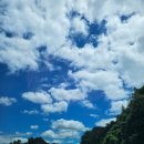 은미횟집 이미지