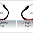 애니카랜드 장기점 이미지