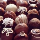 분당필동물병원 이미지