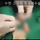 논산동물병원 이미지