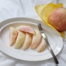 수유농원 이미지