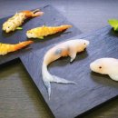 스시코이 이미지