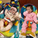 해뜸어린이집 | [351-400] 벌써 일년,,,, 하루하루가 선물처럼 쌓여가는 중인 351일에서 400일 쌍둥이 육아일기