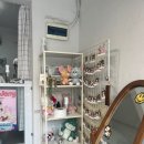 비비드봉 이미지