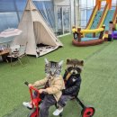 꿈꾸는 키즈팜