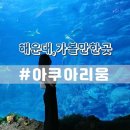 씨앤드플레이존 | 부산 해운대 아쿠아리움 아이와 가볼만한곳