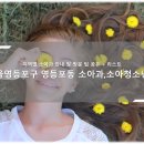 지인소아청소년과의원 티스토리