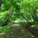 부소산성 사자루 이미지