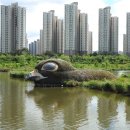 운정호수공원 티스토리