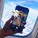 오토오아시스 역전점 | 해외ㅣ3박 4일ㅣ뚜벅이 둘이 떠난 🇯🇵 마쓰마야 여행 총 결산