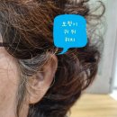 소리보청기신대방 | 포낙 가성비 보청기 파라다이스 충전식 보청기 구매후기-동작구 포낙보청기