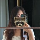 도르르 헤어 | 운정 미용실 소바주헤어 레이어드 C컬펌 ✂️ 머리만 말려도 되는 삶을 꿈꾸며,,