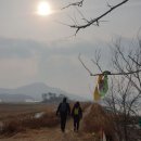 창후리종점 Daum카페