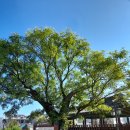 능주면사무소 이미지