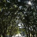 LIG화재빌딩 앞 | 시드니 힐링여행 코스 :: 하이디파크, 세인트메리대성당, 더록스마켓, 루나파크!