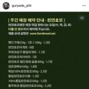 카페오후3시 | [구례 여행] 빵지순례 필수 코스, 연예인도 찾는 빵 '월인정원' 오후 3시 빵집 예약 꿀팁 & 후기