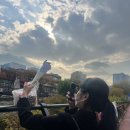 전라도횟집 이미지