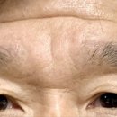 인셀덤벨라 네이버블로그