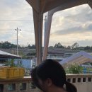 순천만 그리고 나 이미지