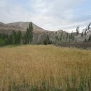 Tibet7 이미지