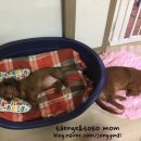 개천사 화장실 네이버블로그